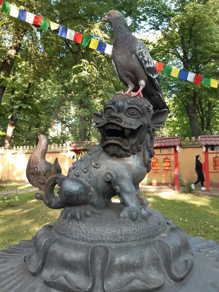 Photograph by Надежда Аксенова