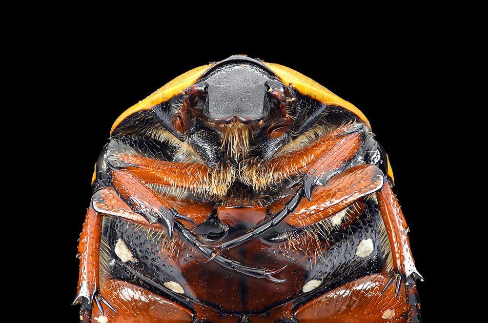 Photograph by Alaa Obaid