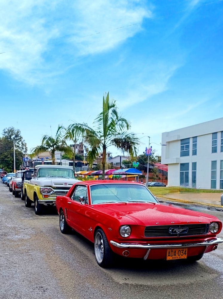 Un Mustang Liderando