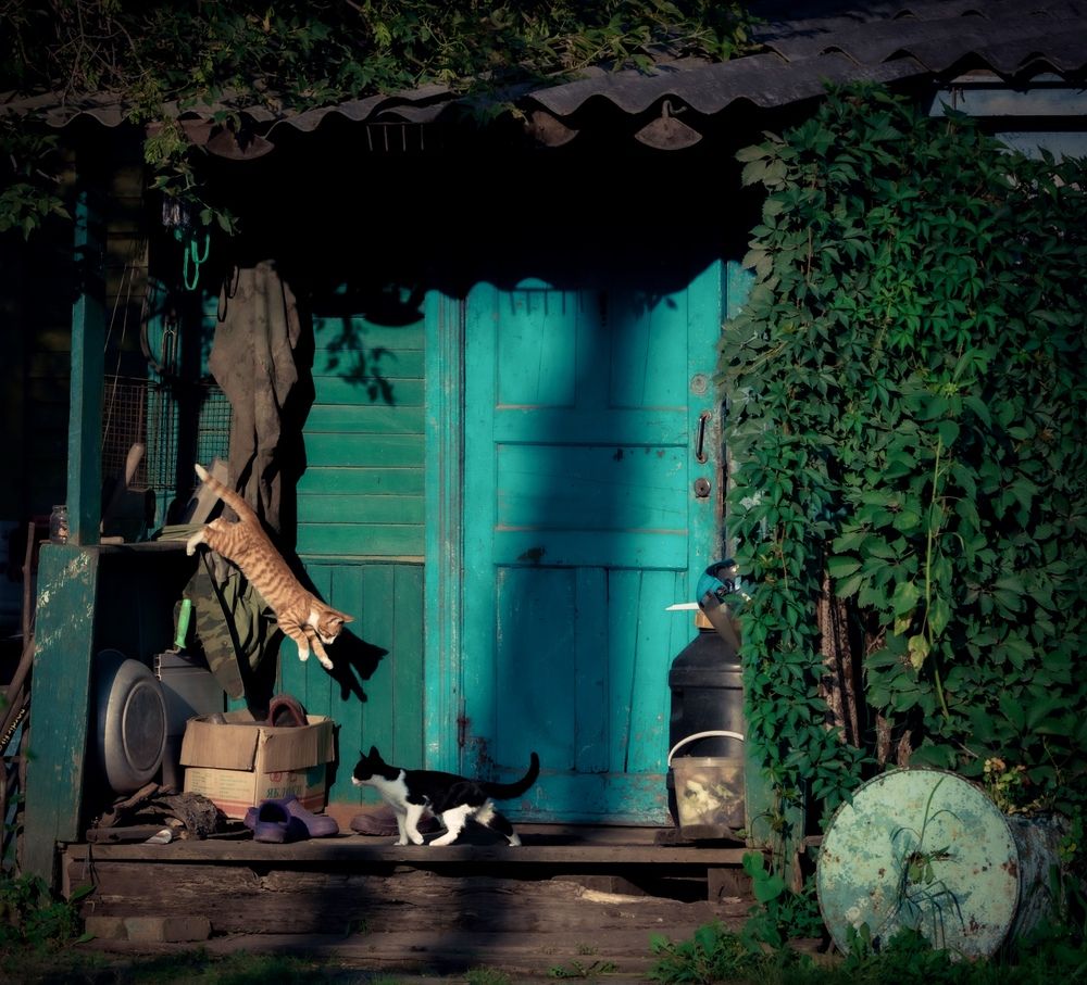 Photograph by Алексей Симонов