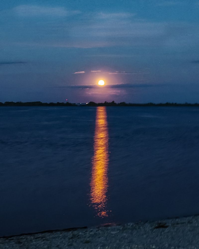 Photograph by Алла Никушкина