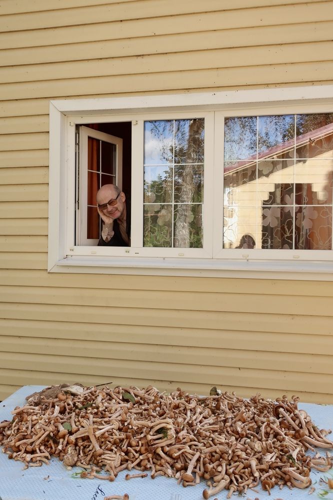 Photograph by Надежда Ткаченко