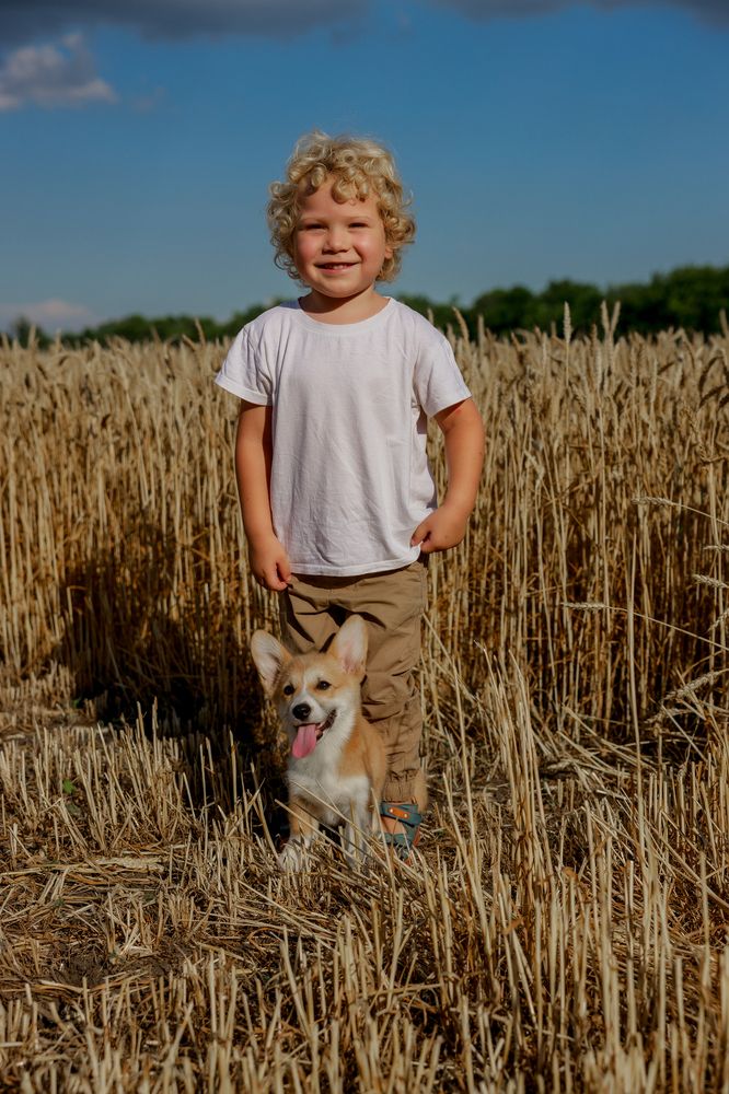 Мальчик и корги