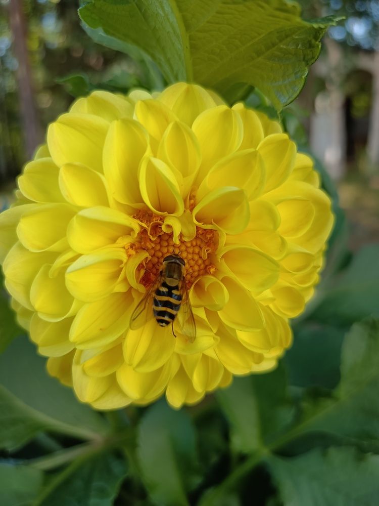 Photograph by Наталья Билай