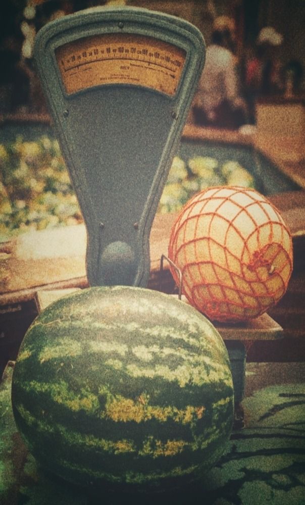 Photograph by Елена Бородулина