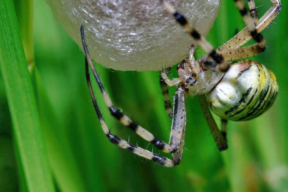 Photograph by Кузнецов Дмитрий