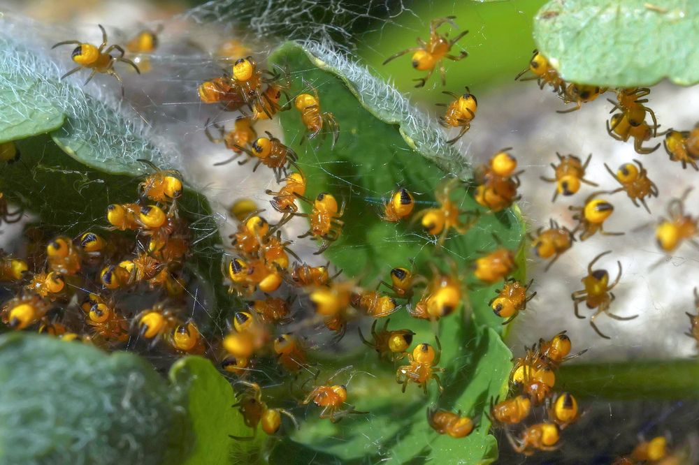 Photograph by Сергей Прокофьев