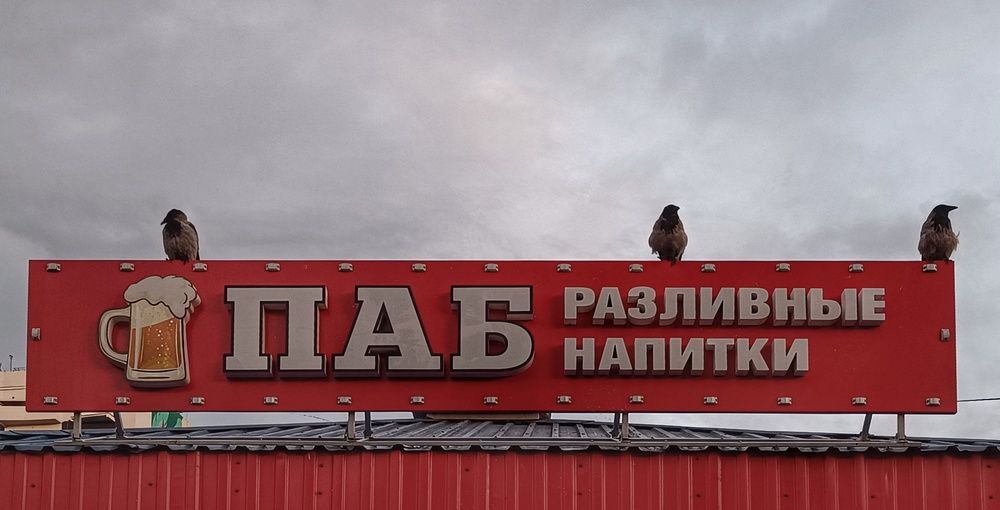 Фотография автора Ольга Кунакова