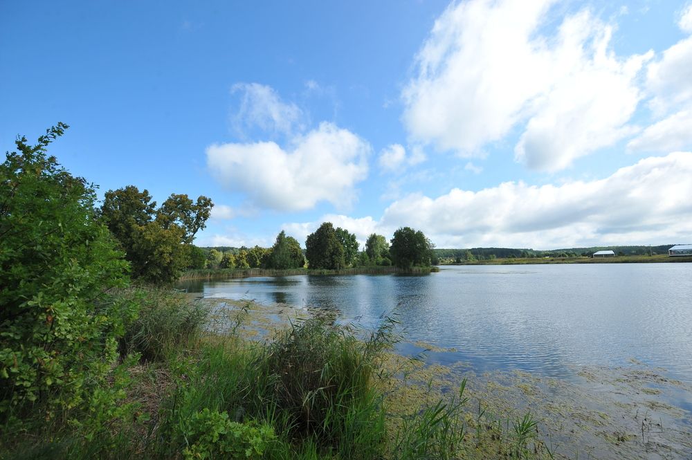 Фотография автора Алексей Volg