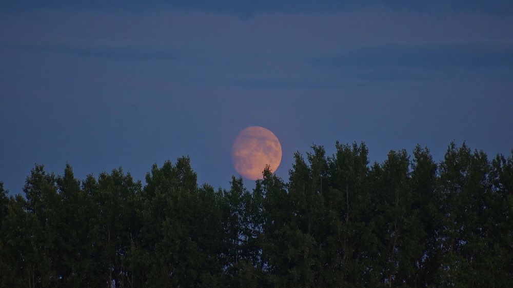 Photograph by Александр Климов