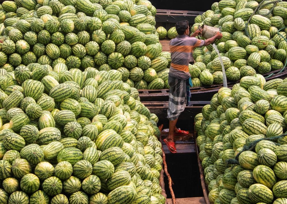 Фотография автора Washiful Majid