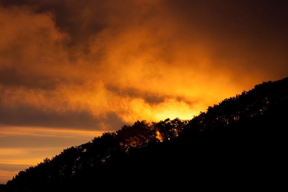 Photograph by София Серёжечкина