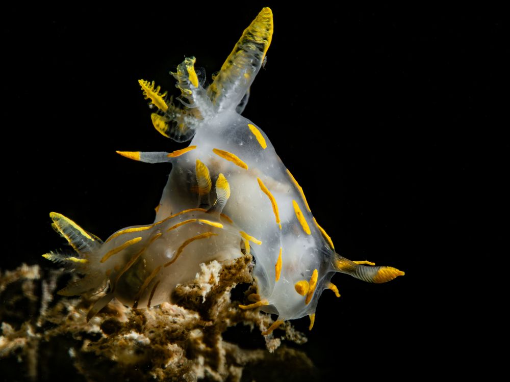 Photograph by Serdar AVCI