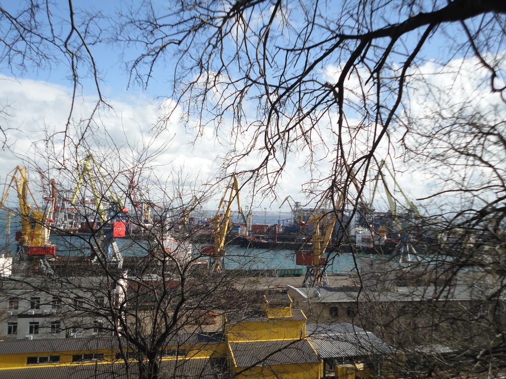 Photo #12464391
