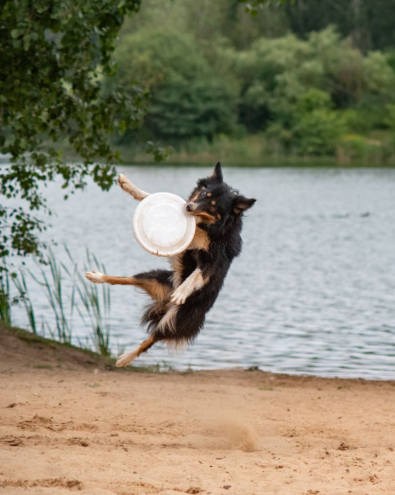 Фотография автора Aliaksandr Shautsou