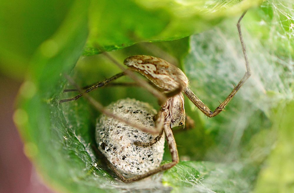 Photograph by Marjo Steffen