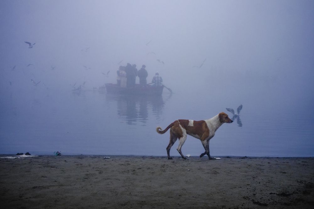 Фотография автора Sachin Gaurav