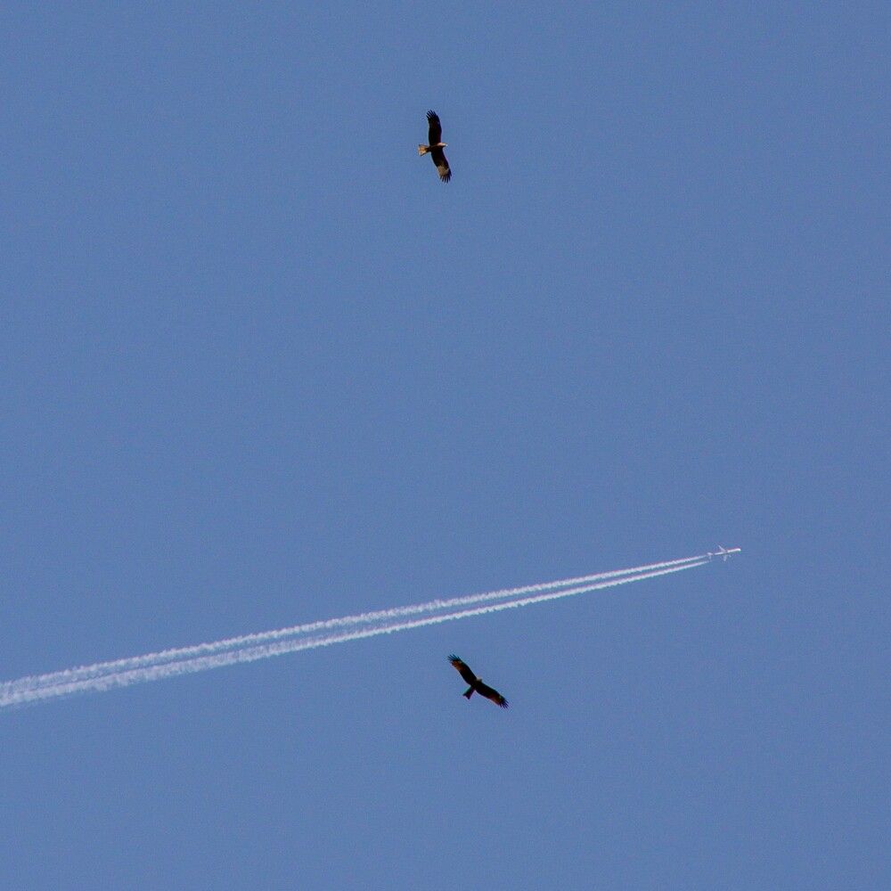 Photograph by Вика Коршунова