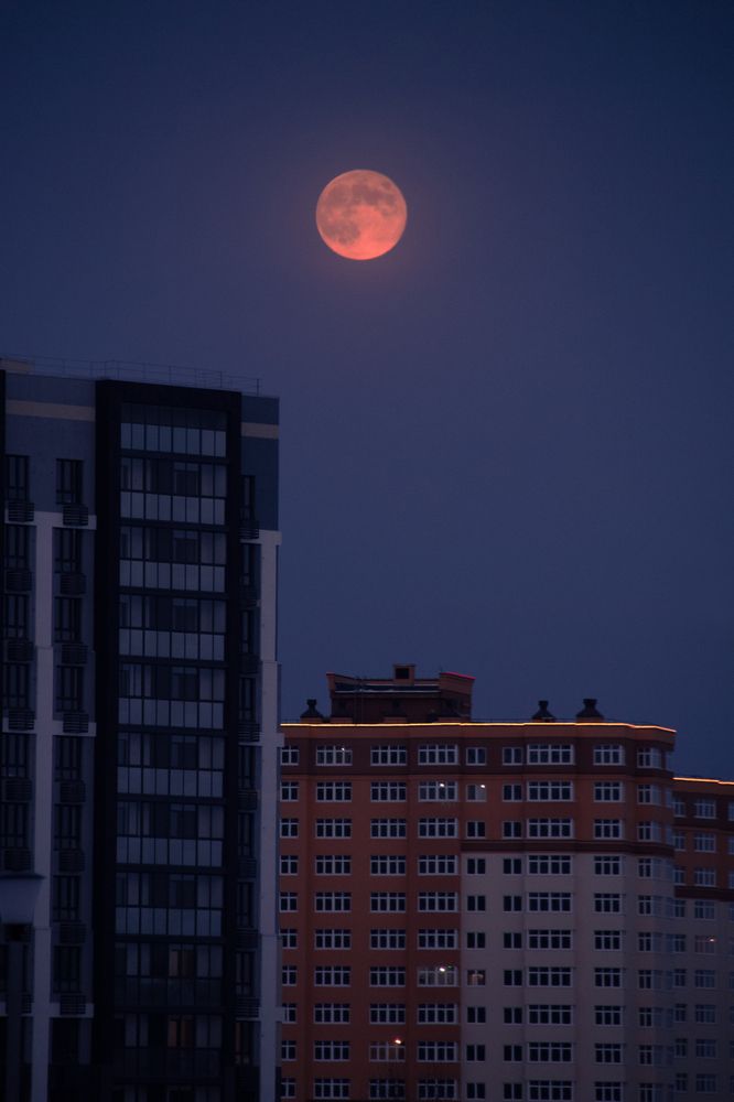 Photograph by Юлия Серазетдинова