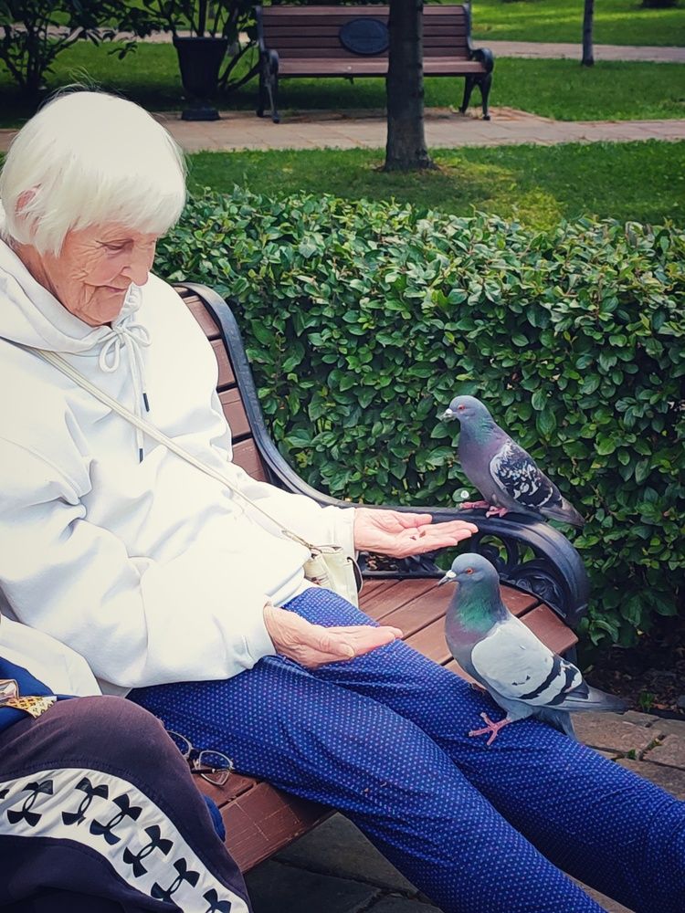 Фотография автора Наталья Низовцева