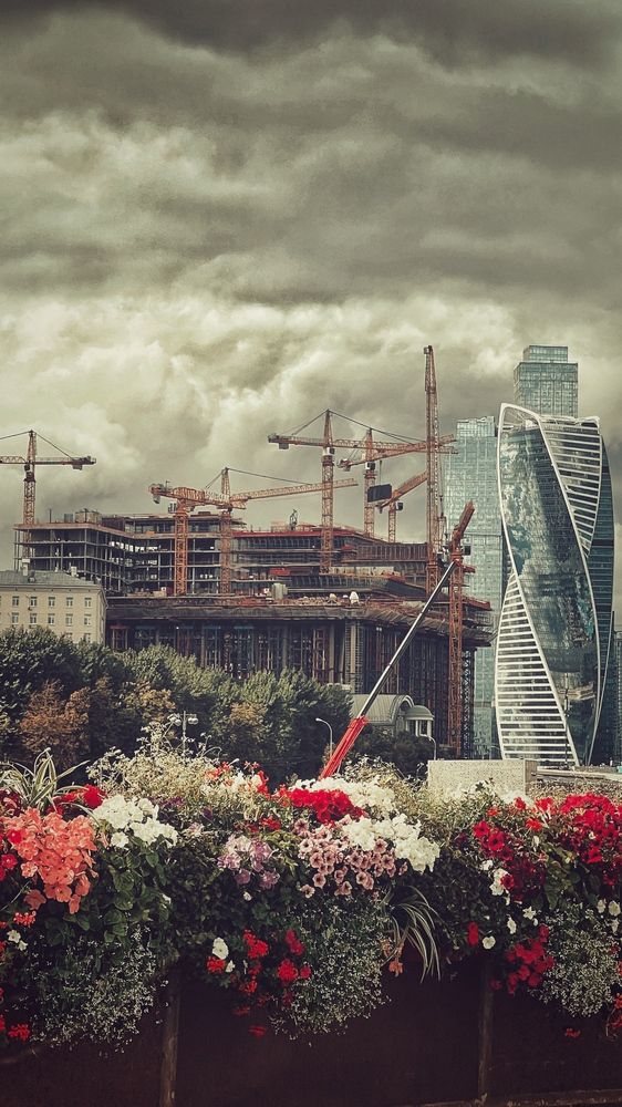 Photograph by Светлана Моисеева