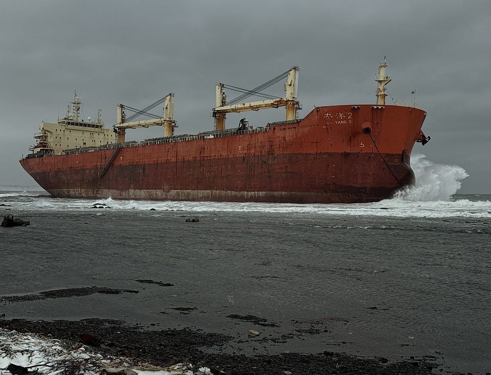 Photograph by LENARA