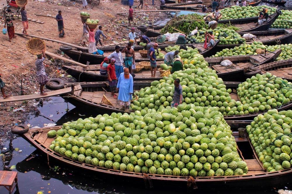 Фотография автора Washiful Majid