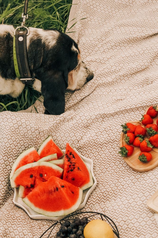 Photograph by Екатерина Корчагина