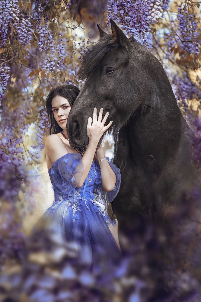 Фотография автора Алина Кордис