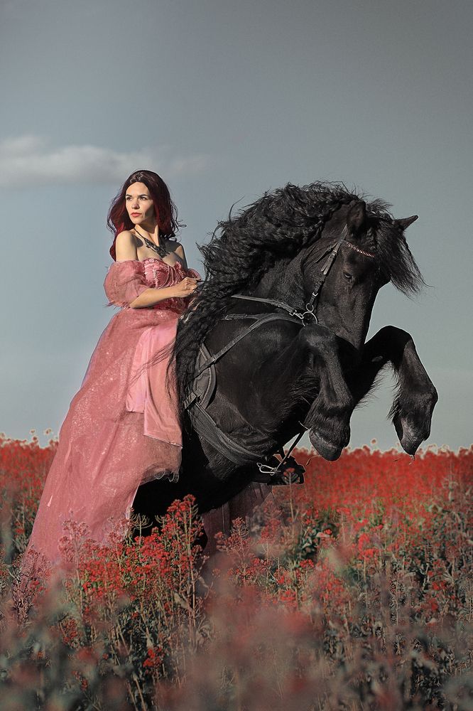 Фотография автора Алина Кордис