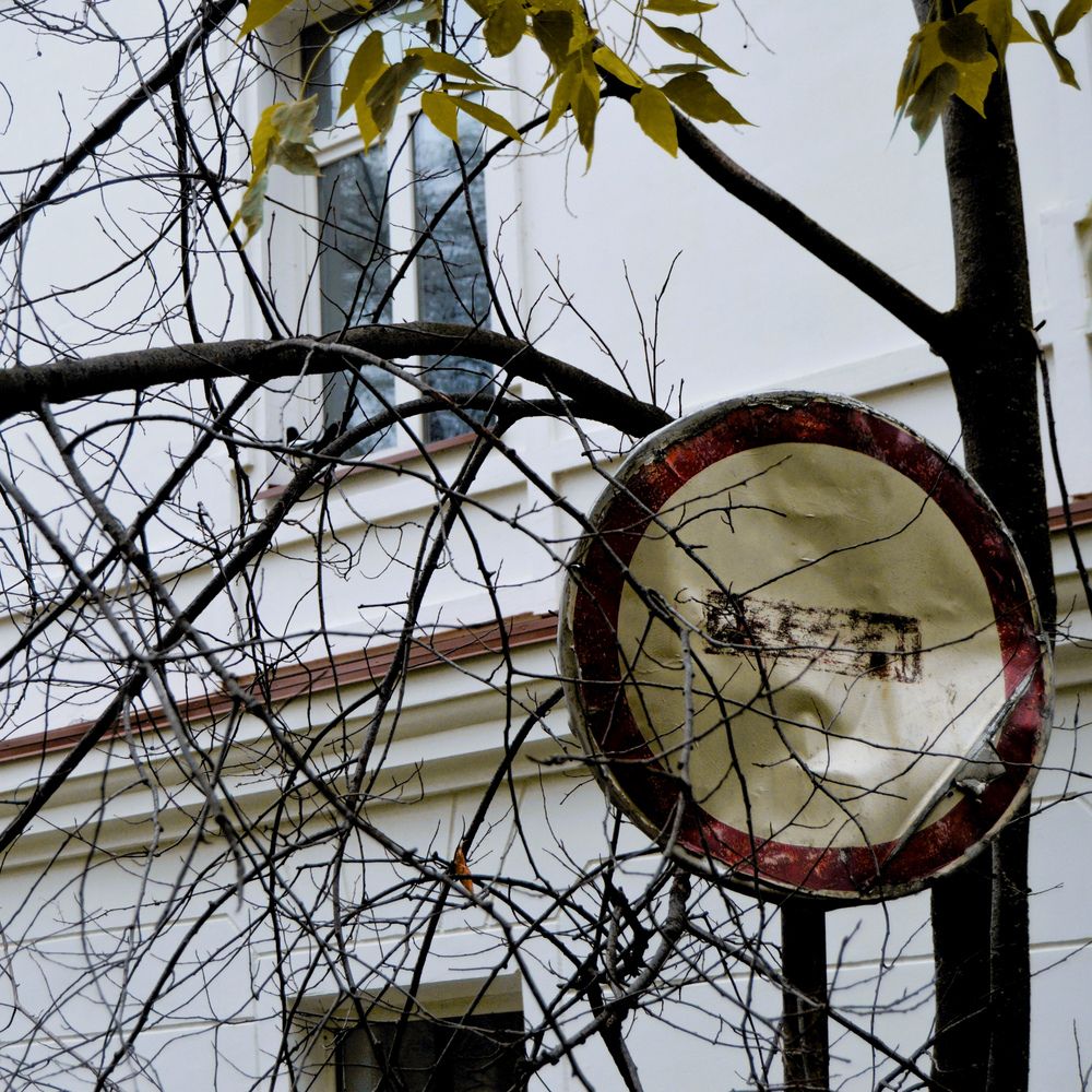 Photograph by Маргарита