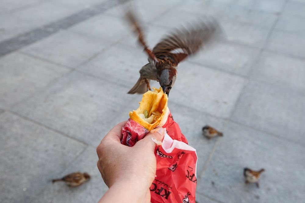 Photograph by Дарья Улюсова