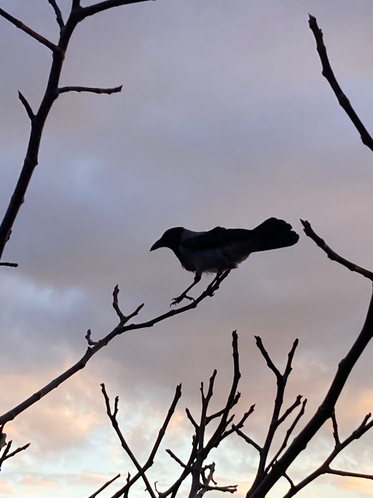 Photograph by Itır Sunalp