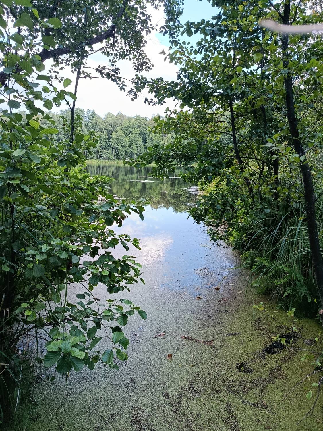 The Svyatovskoe Lake