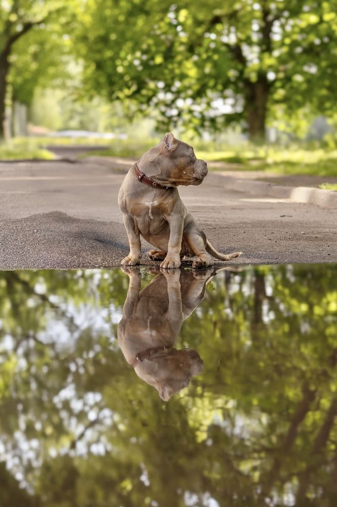 Photograph by Anastassia