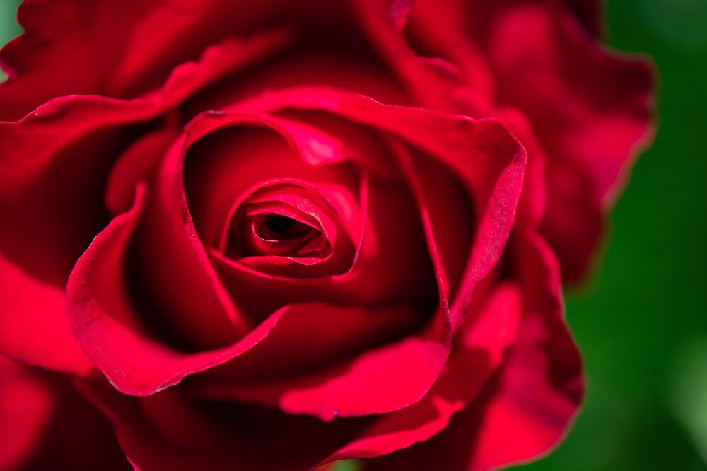 Photograph by Elena Itenberg