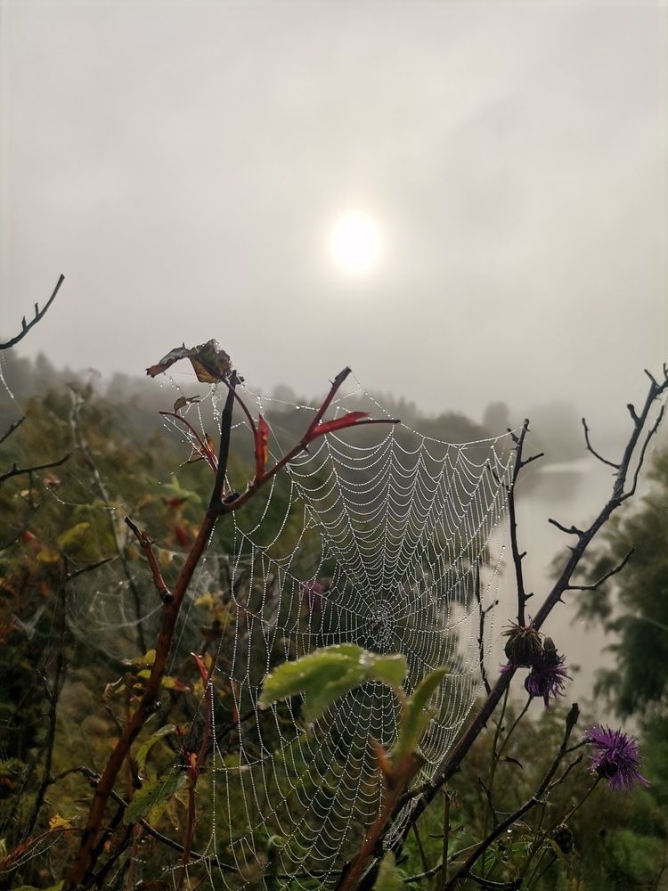 Photograph by Александр Козлов