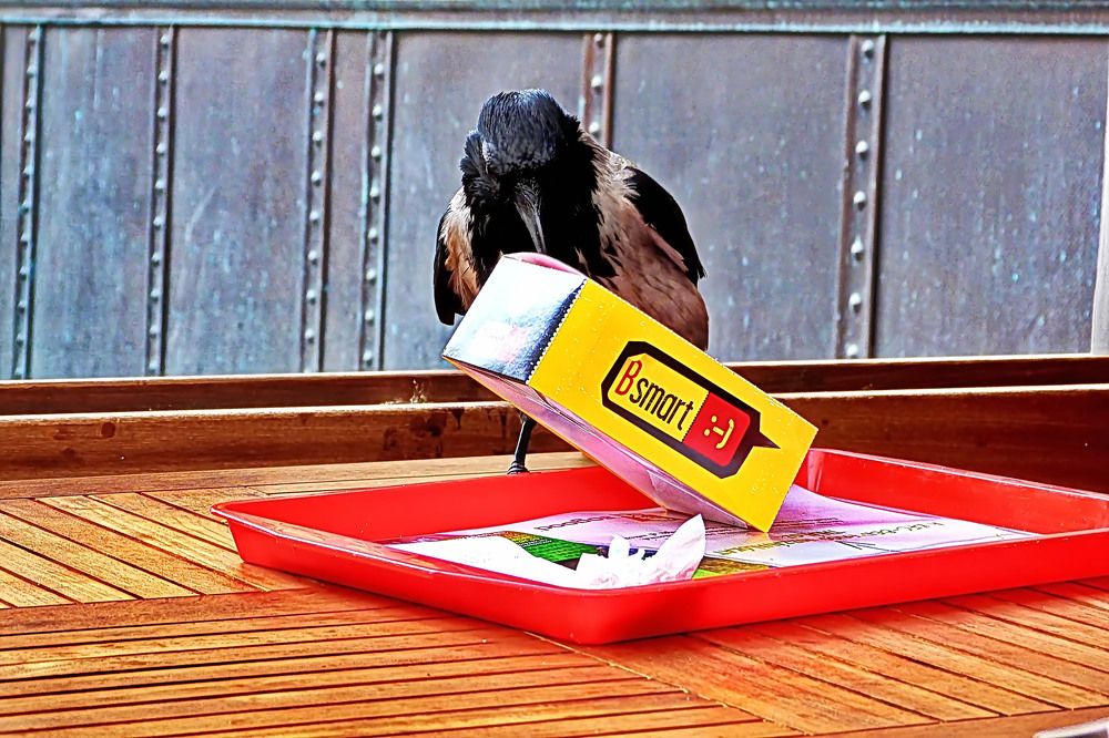 Photograph by Александр