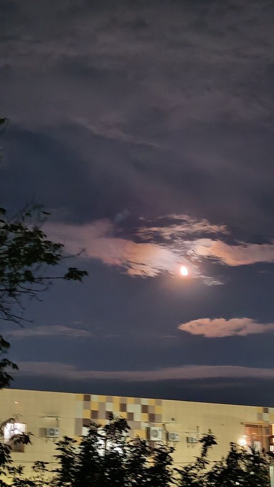 Фотография автора Наталья Шендяпина