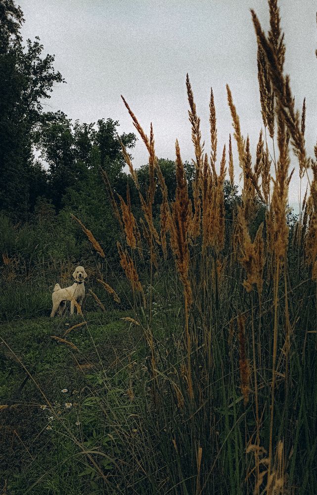 Photograph by Людмила Горячева