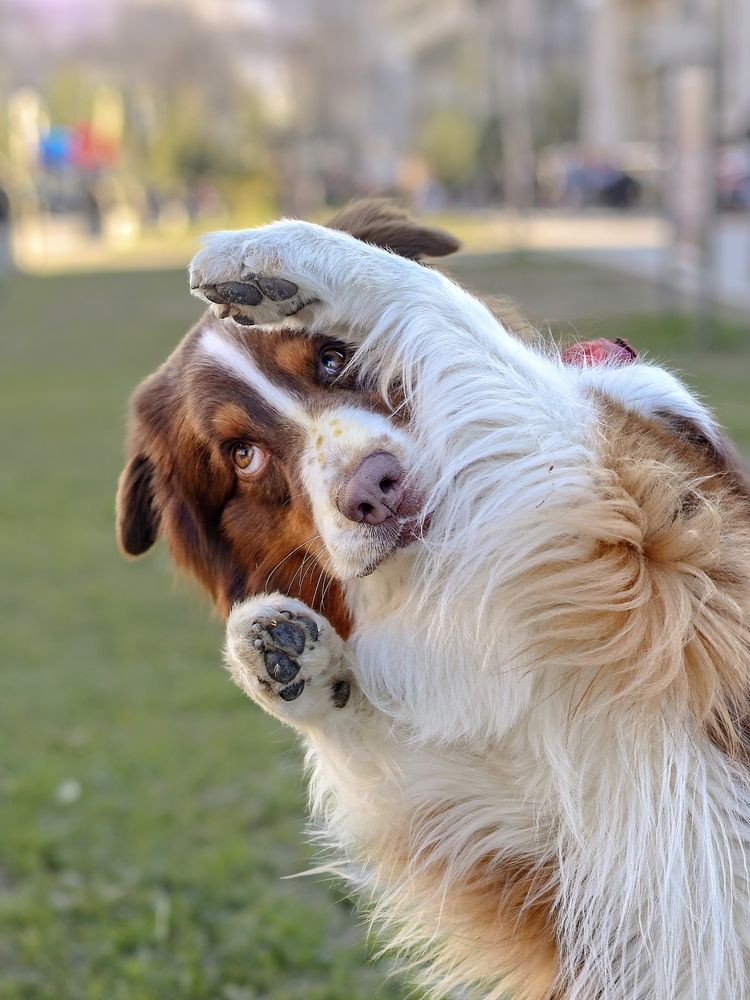 Photograph by Анастасия Ануфриева
