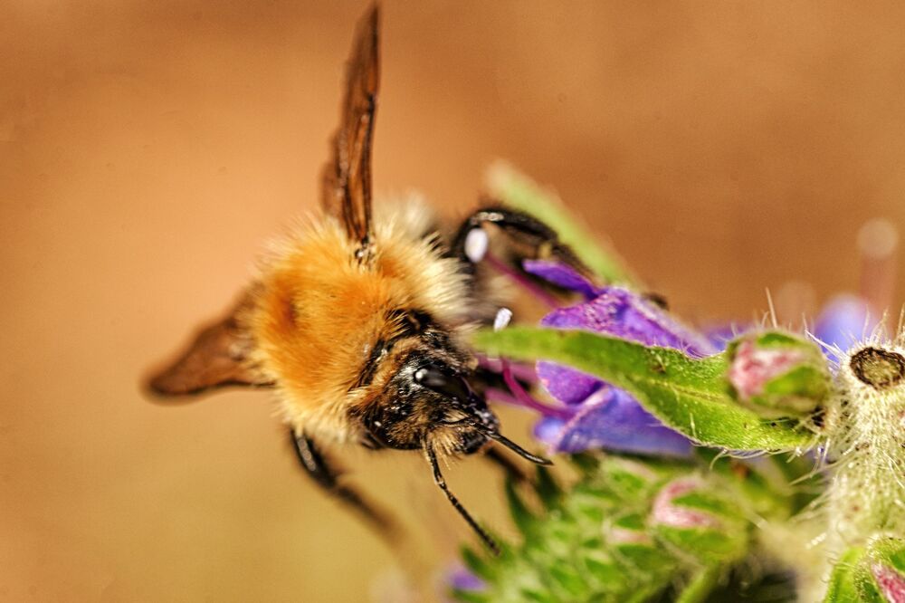 Фотография автора Андрей Жданов