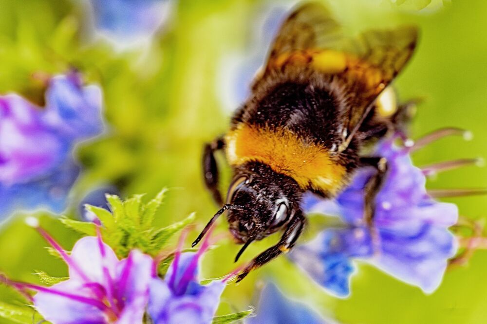 Фотография автора Андрей Жданов