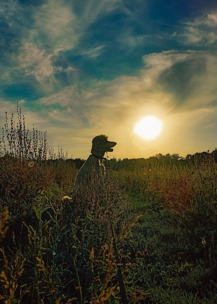 Photograph by Людмила Горячева