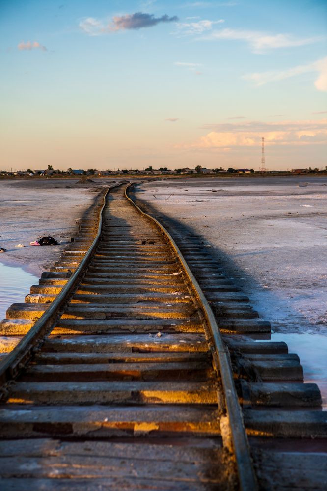 Фотография автора TOTORO