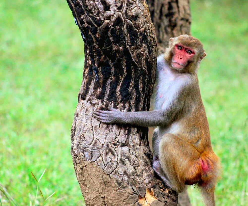 Photograph by Puroja Bhattacharya