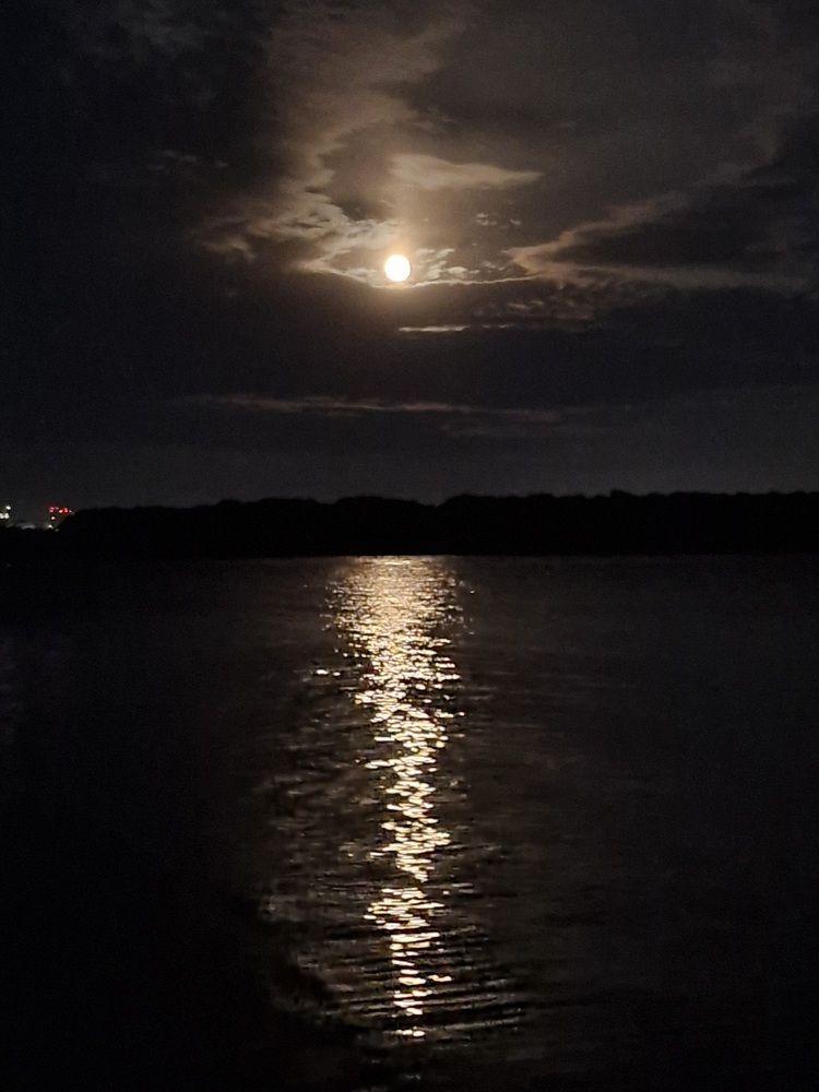 Фотография автора Анастасия Чекалина