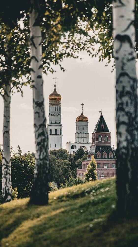 Но эти три березы при жизни никому нельзя отдать