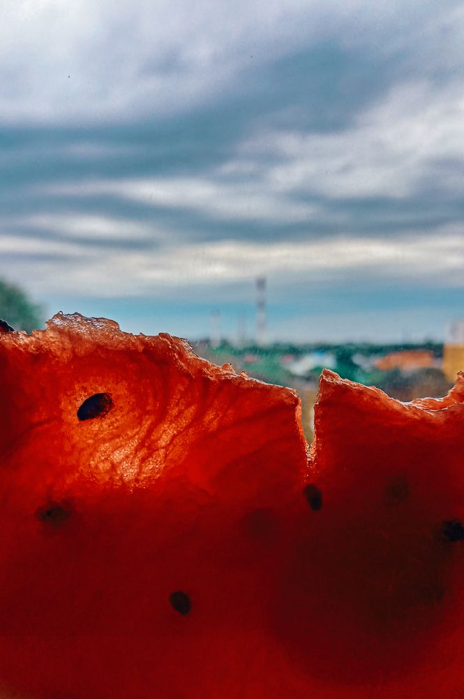 Photograph by Людмила Горячева