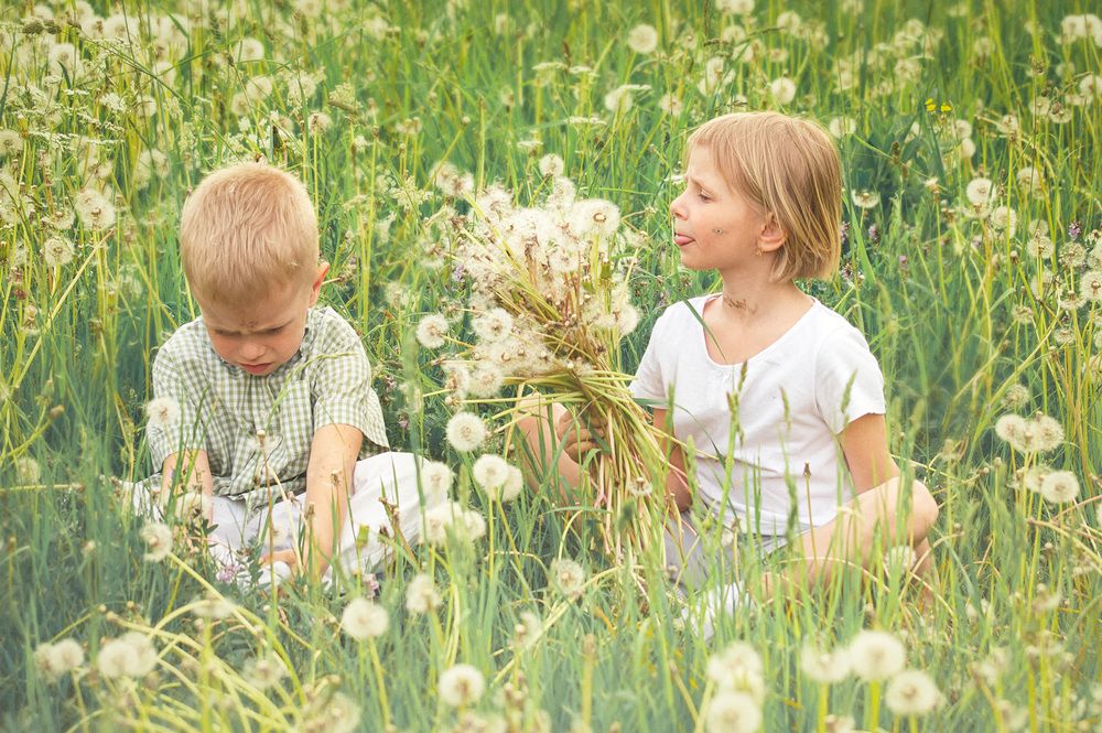 Photograph by Алла Андреева